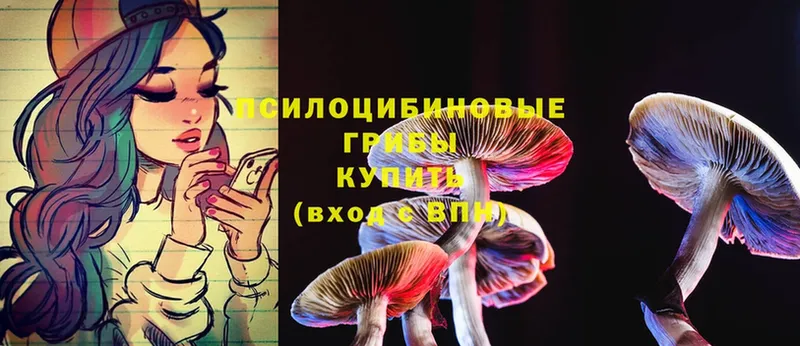 mega ССЫЛКА  Белая Калитва  Галлюциногенные грибы MAGIC MUSHROOMS 